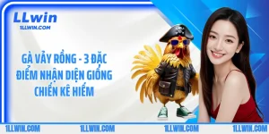 Gà Vảy Rồng - 3 Đặc Điểm Nhận Diện Giống Chiến Kê Hiếm