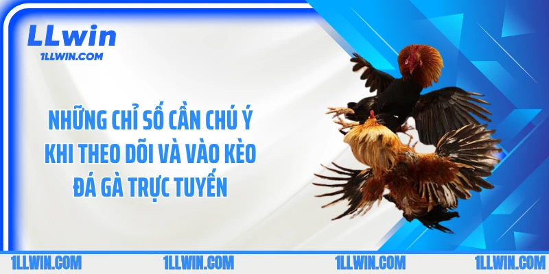 Những chỉ số cần chú ý khi theo dõi và vào kèo đá gà trực tuyến